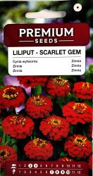 Zinnia Lilliput Scarlet Gem Seeds